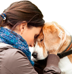 Type of Course  - Intuitive Animal Communication
