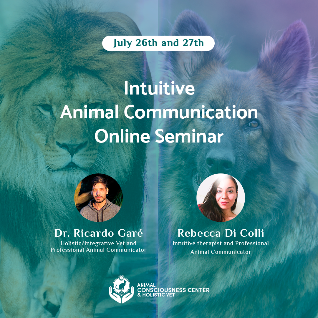 Intuitive Animal Communication Online Seminar - Animal Consciousness Center